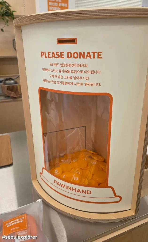Orange coin donation box at Pawinhand rescue dog cafe